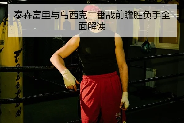 泰森富里与乌西克二番战前瞻胜负手全面解读